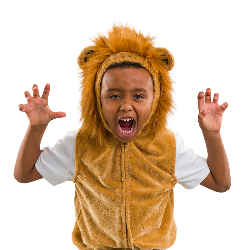 Lion Zip-Up Costume