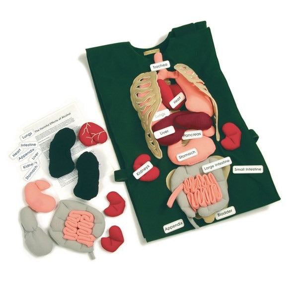 Adult Tunic & Organs Set, Adult Tunic & Organs Set,Children's tunic,school science resources, Adult Tunic & Organs Set,The Adult Organ Tunic is not just your ordinary anatomy learning tool; it's a comprehensive and interactive way to explore the intricacies of the human body. With additional organs like the pancreas, bladder, and trachea, this set is perfectly tailored for Key Stage 2 and Key Stage 3 students. Complete with anThe Adult Organ Tunic is not just your ordinary anatomy learning tool; it's a comp