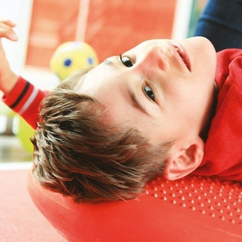 Balance cushion, Balance cushion,Balance cushion,sensory balance cushion,special needs balance cushion,wobble cushion,sensory wobble cushion, Balance cushion,Our Tactile Balance Cushion is a fantastic sensory resource which helps children improve posture and focus. The Tactile Balance Cushion has the same benefits of a balance ball and is spiky on one side yet bumpy on the other, allowing your child to choose the type of tactile input required for their own needs. The BalanBalanceOur Tactile Balance Cushion