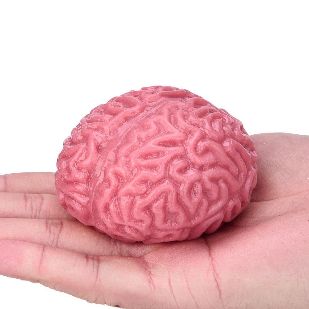 Brain Stress Ball, Brain Stress Ball,stress ball,adhd,autism,fiddle toys,stress toys,fidget toys, Brain Stress Ball,The Brain Stress Ball is a fantastic multi use stress ball ideal for children and adults alike. The Brain Stress Ball is great for training sessions and group exercises and for stimulating a degree of competition - 'who can win the brain?' Link the item to the theme of your workshop. An excellent table topper, group giBrain StressThe Brain Stress Ball is a fantastic multi use stress ball ideal