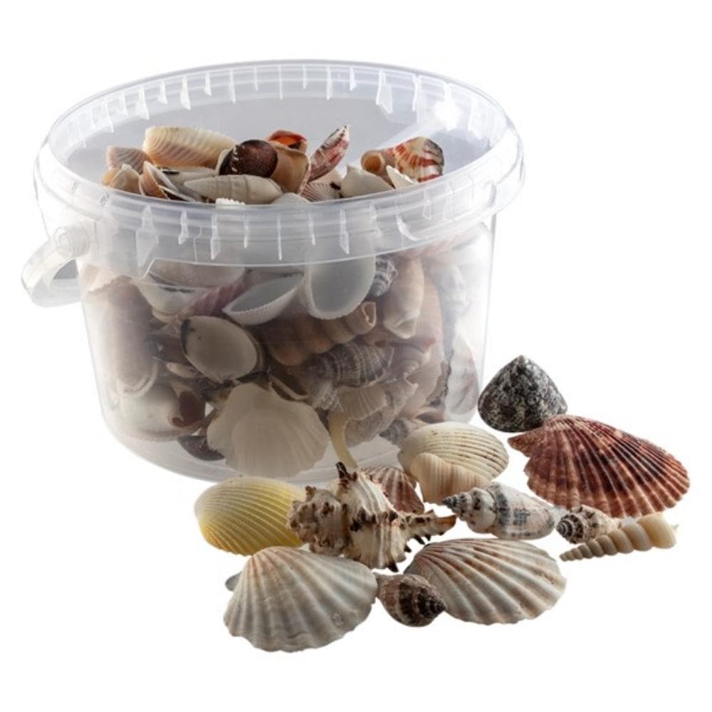 Bucket of Sea Shells, Bucket of Sea Shells,Imaginative play resources,sensory resources,sensory play resources,sensory toy resources, Bucket of Sea Shells,Introducing our fantastic Bucket of Sea Shells! Packed with a variety of beautiful sea shells, this product is a must-have for any beach lover or nature enthusiast. With its handy storage solution, the sea shells can be conveniently put away after play time, ensuring a clean and organized space.But why stop there? Take,Bucket of Sea ShellsIntroducing our 