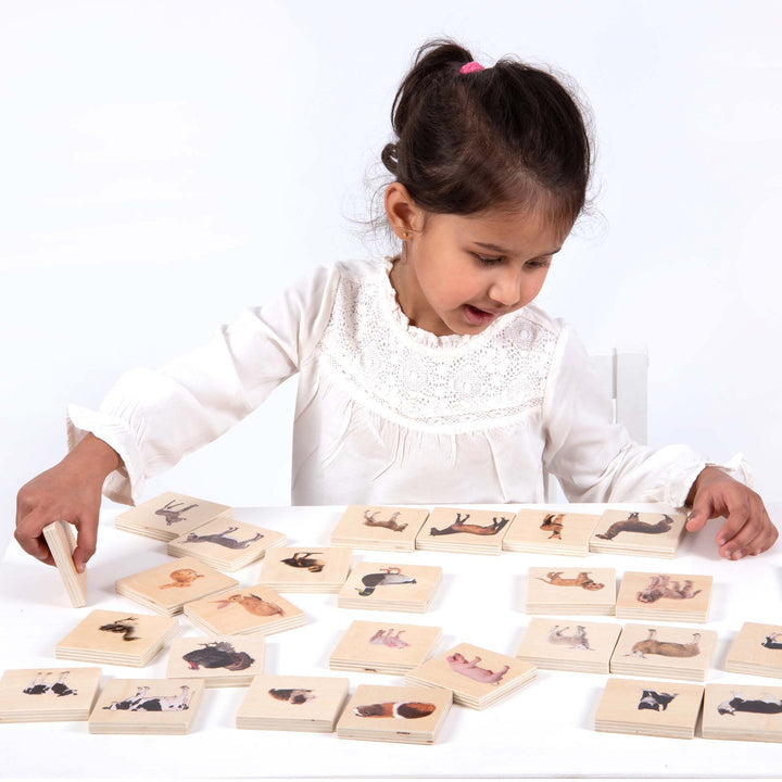 Domestic Animal Family Match Game, Domestic Animal Family Match Game,Matching toys,wooden matching games,early years matching toys,classroom matching toys, Domestic Animal Family Match Game,The TickiT® Domestic Animal Family Match Game is an engaging and versatile wooden game designed to teach children about domestic animals and their young in a hands-on, interactive way. This set includes 14 pairs of smooth, tactile basswood ply tiles, each featuringThe TickiT® Domestic Animal Family Match Game is an engag