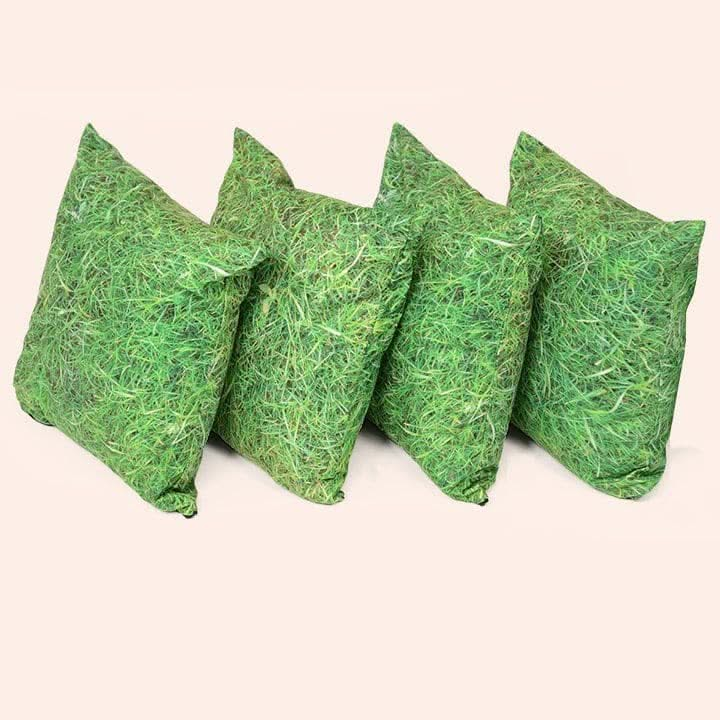 Grass Scatter Cushions Set Of 4, Grass Scatter Cushions Set Of 4,Children's floor cushions,classroom floor cushions,numeracy floor cushions, Grass Scatter Cushions Set Of 4,The Grass Scatter Cushions offer a wonderful blend of comfort and thematic aesthetics that are ideal for creating a relaxing and inviting environment for children. Grass Scatter Cushions Set Of 4 Features: Design: Features a nature-inspired grass pattern that brings the outdoors in, perfect for creating a calmingThe Grass Scatter Cushion