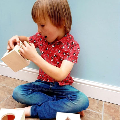 Guidecraft Peekaboo Lock Boxes, Guidecraft Peekaboo Lock Boxes,Lock Box,Sensory lock box,special needs locks box,Bigjigs lock box, Guidecraft Peekaboo Lock Boxes,Unlock each box to explore what's behind each door! This Guidecraft Peekaboo Lock Boxes set of six wooden lock boxes is ideal for learning shape, colour, and spatial relationships. Sort the shapes into the appropriate lock boxes, view them through the transparent,Unlock each box to explore what's behind each door! This Guidecraft Peekaboo Lock Boxe