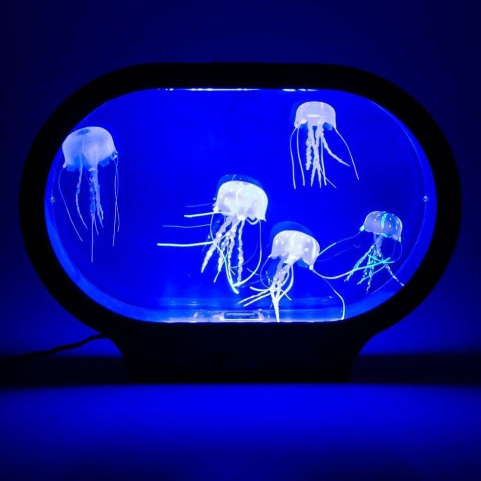 Neon Jellyfish Oval Tank Mood Light, Jelly Fish Tank Mood Light Lamp,Jellyfish tank,novelty jellyfish tank,artificial jellyfish tank,sensory jellyfish ank,special needs jellyfish tank, Neon Jellyfish Oval Tank Mood Light,The Neon Jellyfish Oval Tank Mood Light is an opportunity to enjoy the aesthetics and the tranquillity that an aquarium brings to the home, without the mess and the fuss of caring for living animals. No feeding or cleaning needed! These Jellyfish look afterThe Neon Jellyfish Oval Tank Mood 