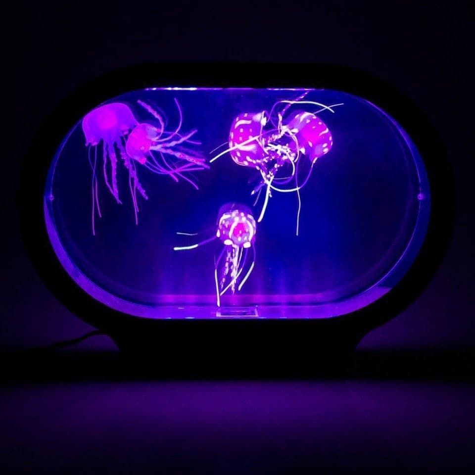 Neon Jellyfish Oval Tank Mood Light, Jelly Fish Tank Mood Light Lamp,Jellyfish tank,novelty jellyfish tank,artificial jellyfish tank,sensory jellyfish ank,special needs jellyfish tank, Neon Jellyfish Oval Tank Mood Light,The Neon Jellyfish Oval Tank Mood Light is an opportunity to enjoy the aesthetics and the tranquillity that an aquarium brings to the home, without the mess and the fuss of caring for living animals. No feeding or cleaning needed! These Jellyfish look afterThe Neon Jellyfish Oval Tank Mood 