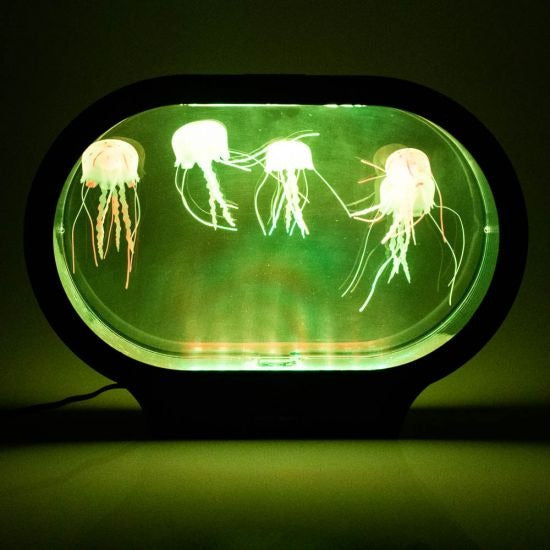 Neon Jellyfish Oval Tank Mood Light, Jelly Fish Tank Mood Light Lamp,Jellyfish tank,novelty jellyfish tank,artificial jellyfish tank,sensory jellyfish ank,special needs jellyfish tank, Neon Jellyfish Oval Tank Mood Light,The Neon Jellyfish Oval Tank Mood Light is an opportunity to enjoy the aesthetics and the tranquillity that an aquarium brings to the home, without the mess and the fuss of caring for living animals. No feeding or cleaning needed! These Jellyfish look after themselves, whilst you simply jus