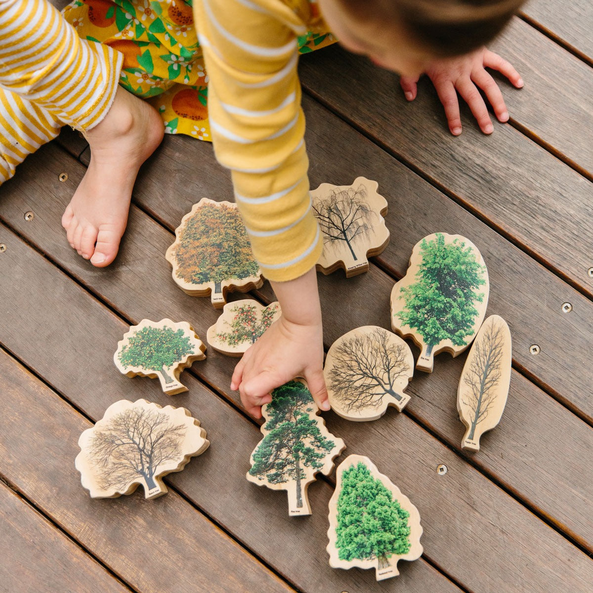 Seasons Wooden Trees, Seasons Wooden Trees,Seasons Trees, Freckled Frog Seasons Trees,Freckled Frog UK Toys, Seasons Wooden Trees,Seasons Wooden Trees The Seasons Wooden Trees are a delightful and educational addition to small-world playsets, offering a hands-on way for children to explore the changing seasons and the environment. These beautifully crafted wooden trees represent both evergreen and deciduous varieties, making them perfect for imag,SeasonsSeasons Wooden Trees The Seasons Wooden Trees are a de