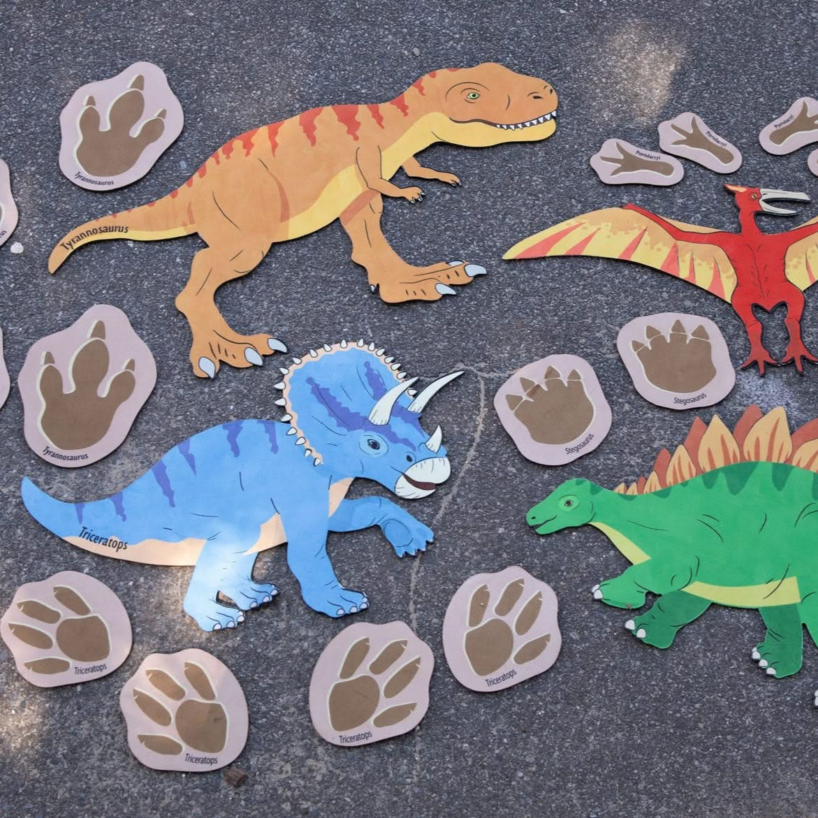 Chasing Dinosaurs, Chasing Dinosaurs,Balance steps,balance stones,Sensory Balance stones,Sensory balance steps., Chasing Dinosaurs,Introduce your little ones to the fascinating world of dinosaurs with our Dinosaur Footprint Trailset! This exciting playmat set features 20 non-slip, thick, natural rubber backed mats that come in various sizes, from 78cm for the largest piece to 13cm for the smallest piece. Each mat displays a colourful footprint of ,ChasingIntroduce your little ones to the fascinating world o