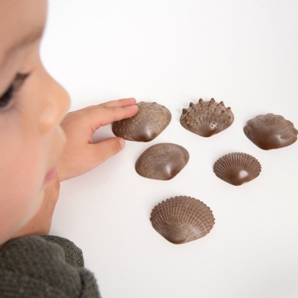 Eco Friendly Tactile Shells Pack 36, Eco Friendly Tactile Shells Pack 36,Edex UK supplier,Edex tactile shells toy,Edex sensory toys,Edex educational toys,Children's sensory toys,Childrens educational toys, Eco Friendly Tactile Shells Pack 36,These specially designed Eco Friendly Tactile Shells Pack 36 have different tactile surfaces and come in 3 sizes. The Eco Friendly Tactile Shells Pack 36 are made from natural Fibre Particulate Composite (FPC), an agricultural waste product from rice stems and rice husk