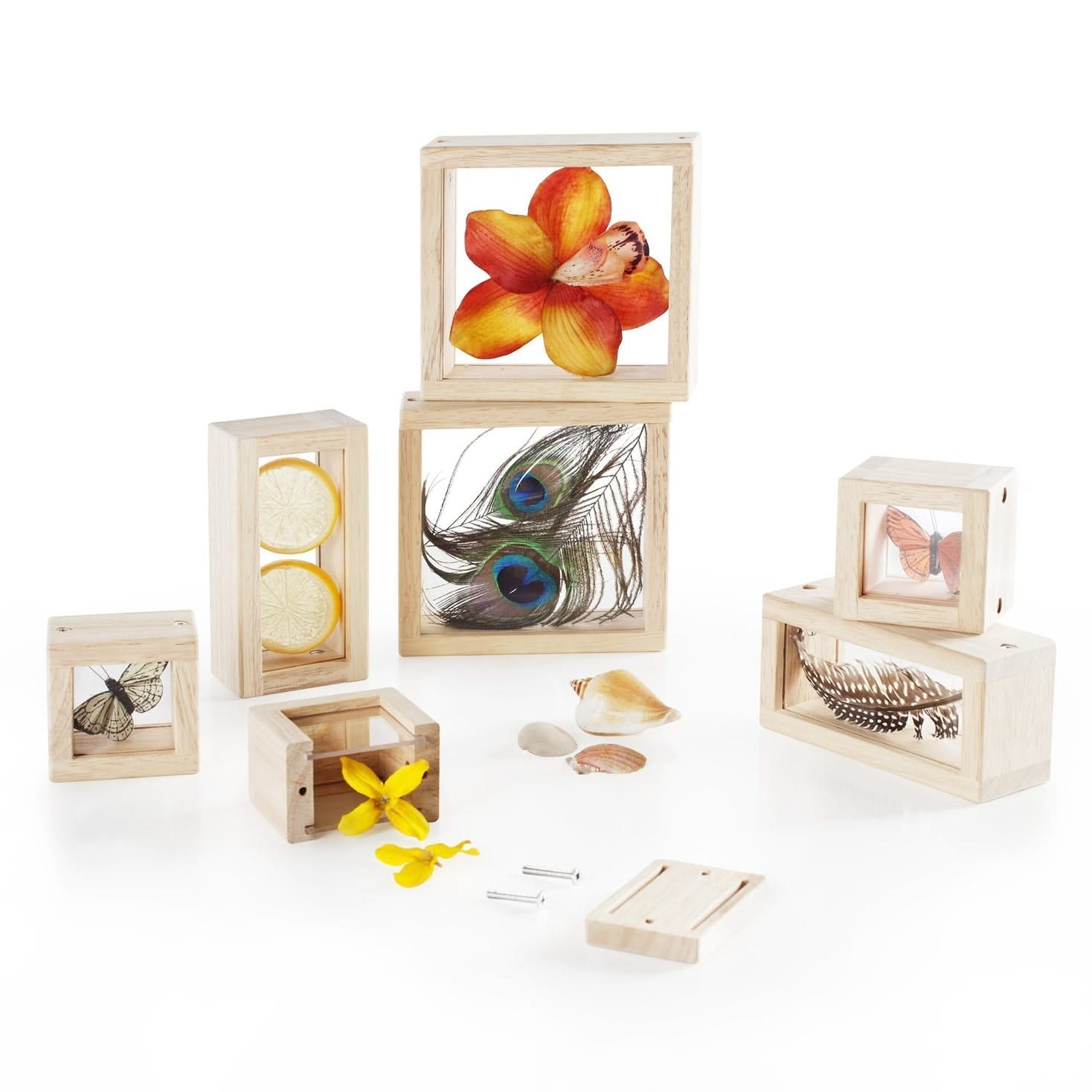 Guidecraft Wooden Treasure Blocks, Guidecraft Wooden Treasure Blocks,Guidecraft treasure blocks,TTS Exploration resources,classroom exploration resources,Natural exploration EYFS resources, Guidecraft Wooden Treasure Blocks,What can we find today? Collect trinkets, natural materials and sensory objects to place in the beautiful Treasure Blocks. The Guidecraft Wooden Treasure Blocks have smooth hardwood frames with inset, transparent acrylic windows have a removable panel to place small objects to observe or