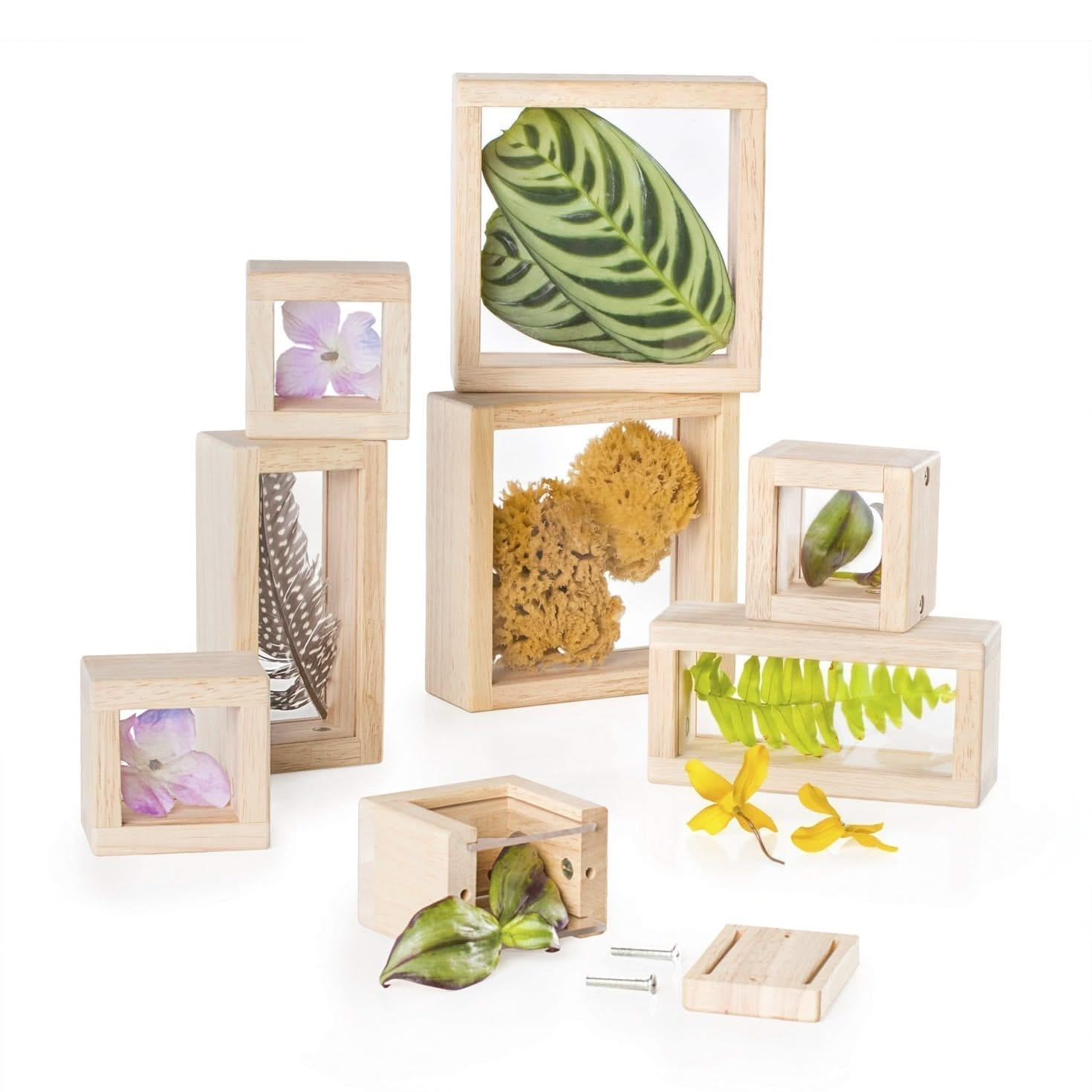 Guidecraft Wooden Treasure Blocks, Guidecraft Wooden Treasure Blocks,Guidecraft treasure blocks,TTS Exploration resources,classroom exploration resources,Natural exploration EYFS resources, Guidecraft Wooden Treasure Blocks,What can we find today? Collect trinkets, natural materials and sensory objects to place in the beautiful Treasure Blocks. The Guidecraft Wooden Treasure Blocks have smooth hardwood frames with inset, transparent acrylic windows have a removable panel to place small objects to observe or