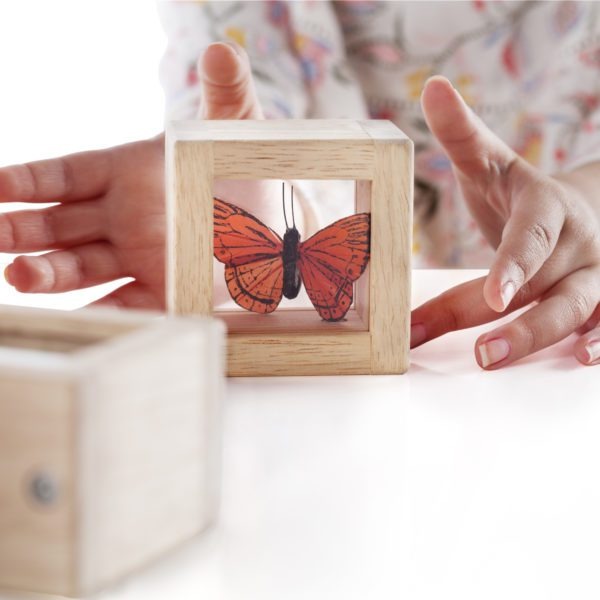 Guidecraft Wooden Treasure Blocks, Guidecraft Wooden Treasure Blocks,Guidecraft treasure blocks,TTS Exploration resources,classroom exploration resources,Natural exploration EYFS resources, Guidecraft Wooden Treasure Blocks,What can we find today? Collect trinkets, natural materials and sensory objects to place in the beautiful Treasure Blocks. The Guidecraft Wooden Treasure Blocks have smooth hardwood frames with inset, transparent acrylic windows have a removable panel to place smallWhat can we find today