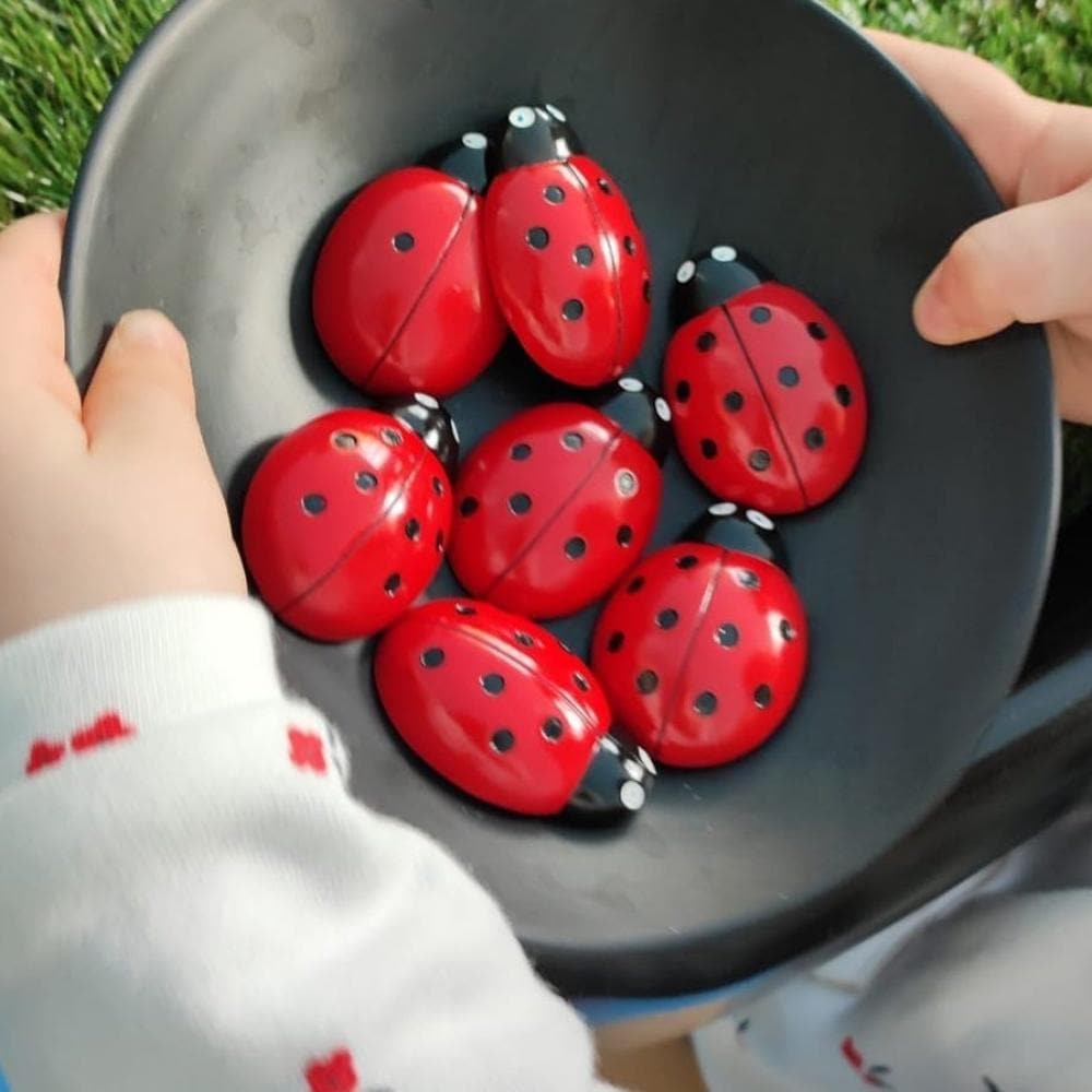 Ladybug Counting Stones Kit, Ladybug Counting Stones Kit, Early years numeracy resources, numeracy curriculum, new numeracy curriculum, 2014 numeracy curriculum,counting,counting and understanding, year 1, Ladybug Counting Stones Kit,Ladybug Counting Stones Kit Bring early maths to life with the Ladybug Counting Stones Kit, an engaging resource for teaching foundational counting skills and number concepts. Designed to encourage hands-on exploration and outdoor learning, this kit is perfect for children aged