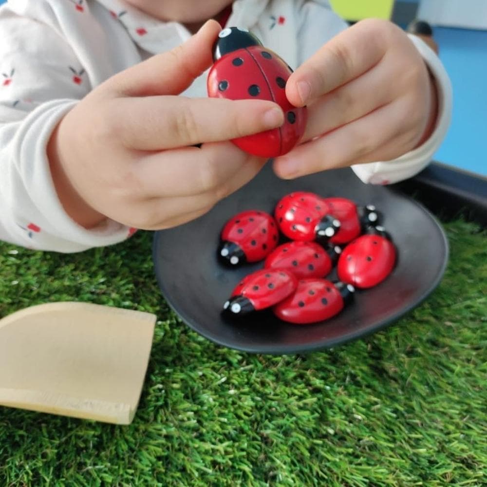 Ladybug Counting Stones Kit, Ladybug Counting Stones Kit, Early years numeracy resources, numeracy curriculum, new numeracy curriculum, 2014 numeracy curriculum,counting,counting and understanding, year 1, Ladybug Counting Stones Kit,Ladybug Counting Stones Kit Bring early maths to life with the Ladybug Counting Stones Kit, an engaging resource for teaching foundational counting skills and number concepts. Designed to encourage hands-on exploration and outdoor learning, this kit is perfect for children aged