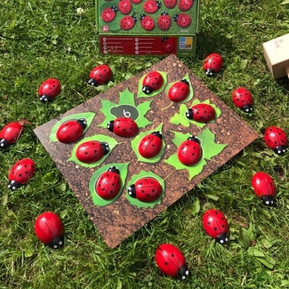 Ladybug Counting Stones Kit, Ladybug Counting Stones Kit, Early years numeracy resources, numeracy curriculum, new numeracy curriculum, 2014 numeracy curriculum,counting,counting and understanding, year 1, Ladybug Counting Stones Kit,Ladybug Counting Stones Kit Bring early maths to life with the Ladybug Counting Stones Kit, an engaging resource for teaching foundational counting skills and number concepts. Designed to encourage hands-on exploration and outdoor learning, this kit is perfect for children aged