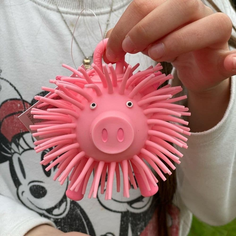 Piggle Puffer, Piggle Puffer,Pig Puffer TOY,tactile toys,special needs tactile toys,special needs toys,special needs tactile toys,cheap tactile toys,autism tactile toys,special needs downs syndrome toys,special needs sensory toys, Piggle Puffer,Cute pig puff ball toy that's covered in lots of wobbly strands. This round pig is super squishy and squeezy, but has the added tactile sensation of several long, soft strands all over its body. You can just about see his face and feet poking out from it all. Also fe