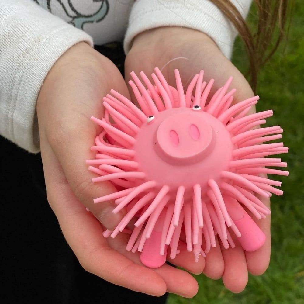 Piggle Puffer, Piggle Puffer,Pig Puffer TOY,tactile toys,special needs tactile toys,special needs toys,special needs tactile toys,cheap tactile toys,autism tactile toys,special needs downs syndrome toys,special needs sensory toys, Piggle Puffer,Cute pig puff ball toy that's covered in lots of wobbly strands. This round pig is super squishy and squeezy, but has the added tactile sensation of several long, soft strands all over its body. You can just about see his face and feet poking out from it all. Also fe