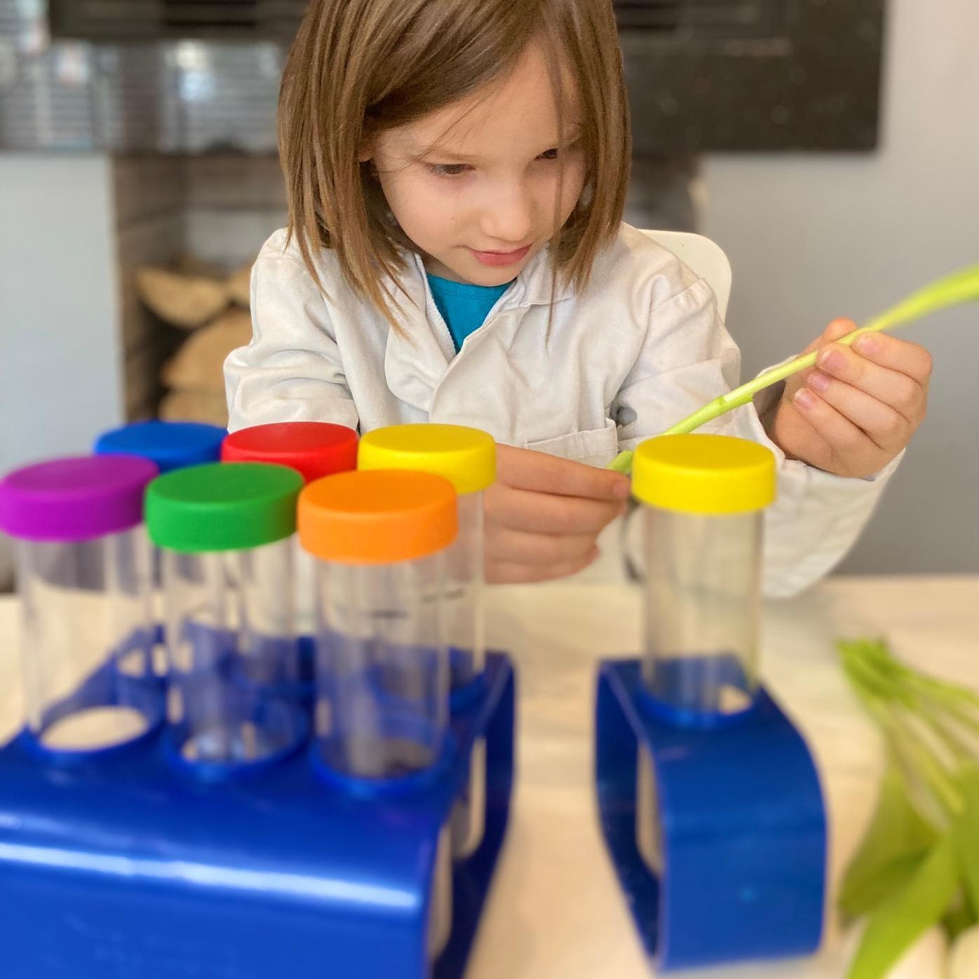 Primary Science® Jumbo Test Tubes with stand, Primary Science® Jumbo Test Tubes with stand,Primary school science resources,early years science resources, Primary Science® Jumbo Test Tubes with stand,Budding scientists will go mad over these durable Primary Science® Jumbo Test Tubes with stand made specifically for hands-on learning. Learning Resources Primary Science Jumbo Test Tubes with Stand. These oversized and colourful science tools are ideal for little hands to grip while supporting hands-on observa