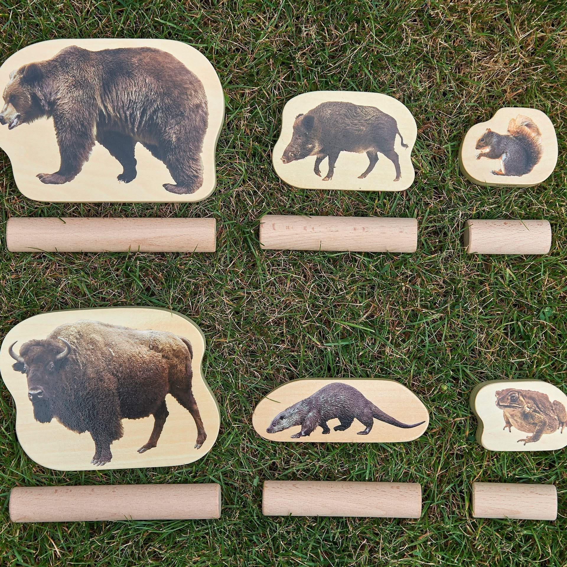 TickiT Wooden Forest Animal Blocks, TickiT Wooden Forest Animal Blocks,Wooden Forest Animal Blocks.TickIT toys,Wooden block toys, TickiT Wooden Forest Animal Blocks,TickiT® Wooden Forest Animal Blocks introduce children to the captivating world of forest, river, and woodland animals through realistic, double-sided photographic images. This versatile educational tool helps young learners build familiarity with animal characteristics, behaviours, and habitats, sparkingTickiT® Wooden Forest Animal Blocks intro